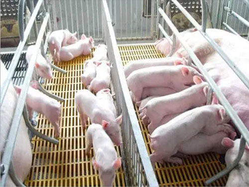 未標(biāo)題-1 未標(biāo)題-1